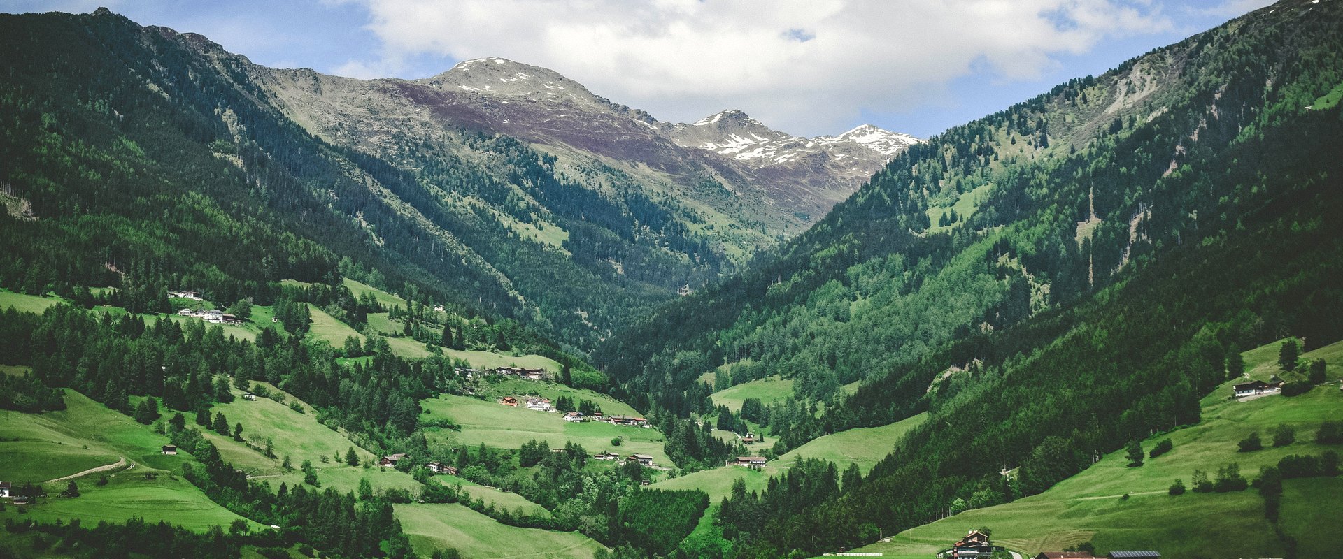 Valle verde de montaña con cumbres nevadas al fondo